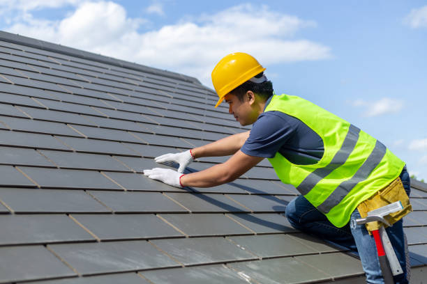 Best Flat Roof Repair Services  in Lely, FL