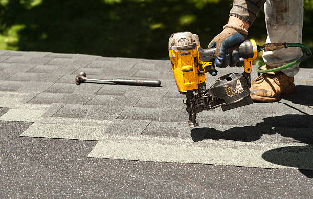 Roof Gutter Cleaning in Lely, FL