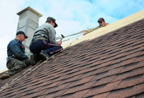 Best Residential Roofing Contractor  in Lely, FL
