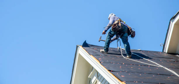 Gutter Installation and Roofing in Lely, FL